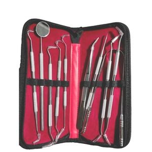 G.CATACC Pro Professional 10 Piece Dental Tools With Case